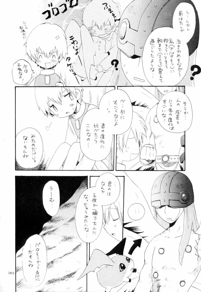 ゼンダ城の虜 - page31