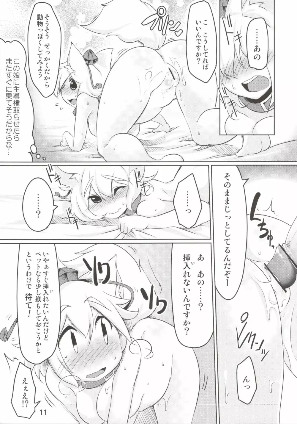 レンタルペット椛 - page11