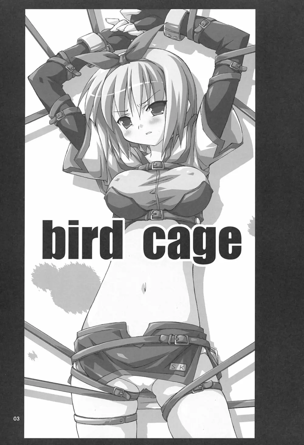 bird cage - page2