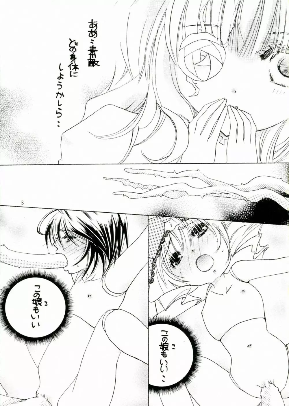 薔薇乙女。桃色日記 - page3