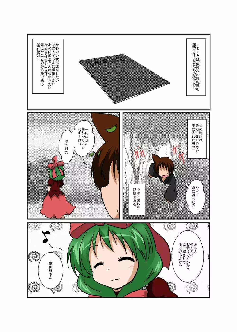 東方ＴＳ物語～鍵山雛編～ - page4