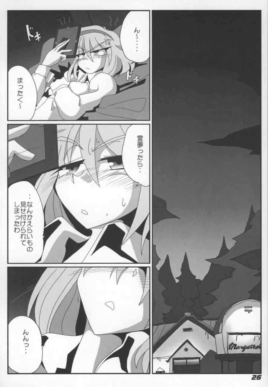 TOHO N+ Light - page28