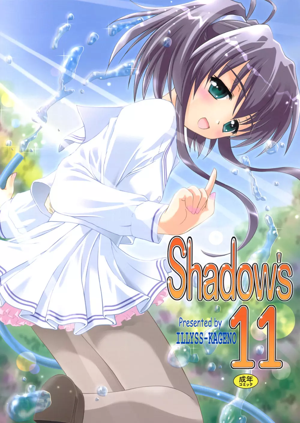 Shadow’s 11