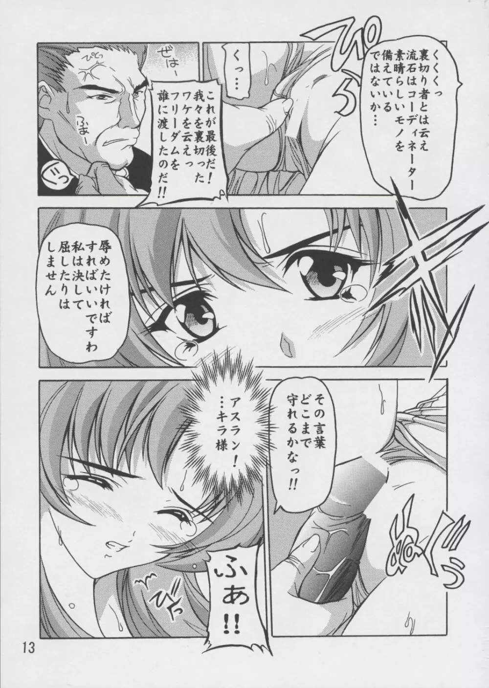 ラクス総集編ですてに～ - page13