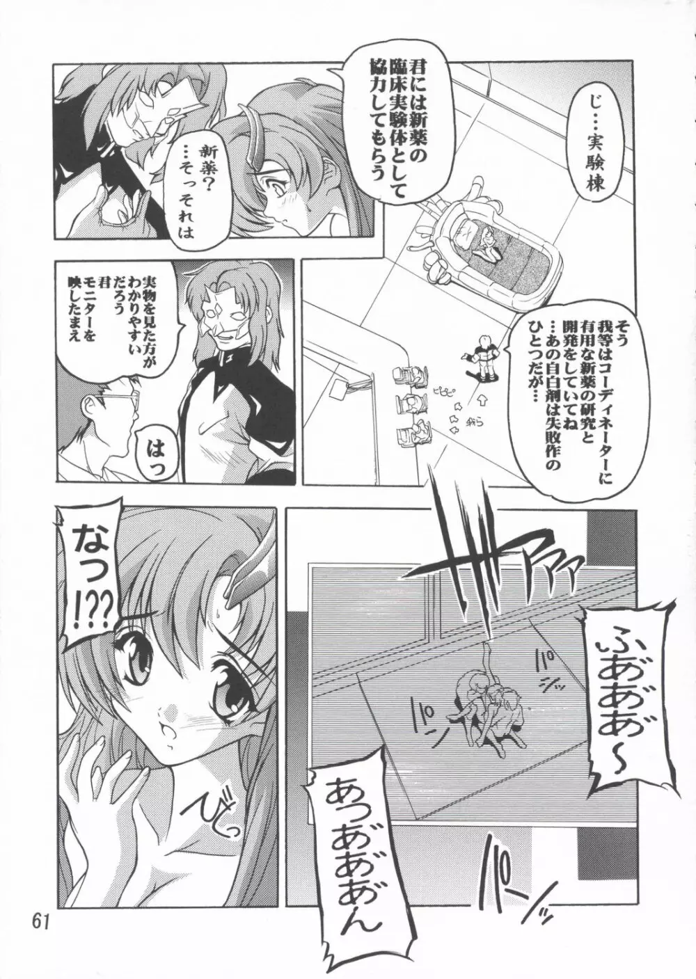 ラクス総集編ですてに～ - page61