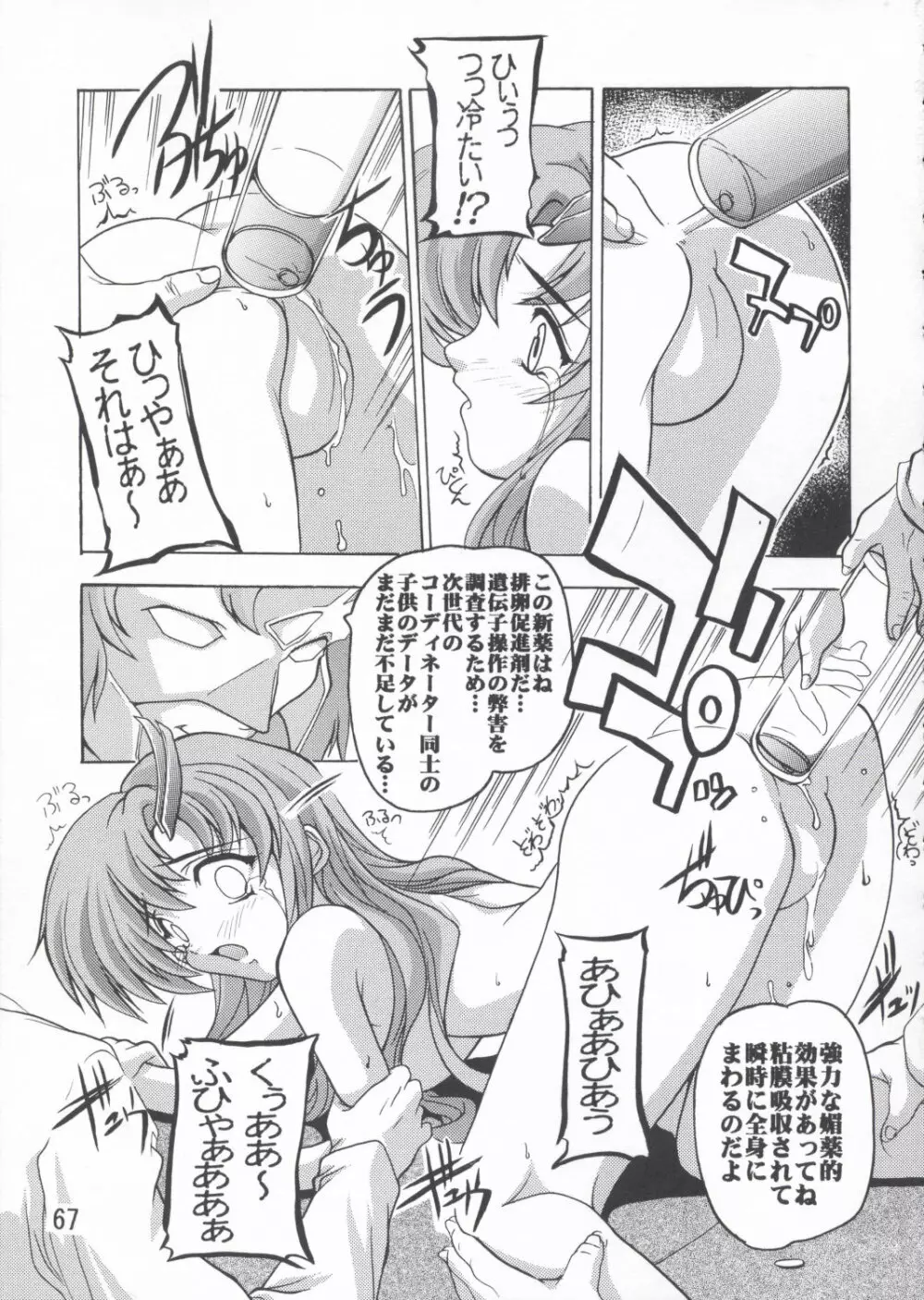 ラクス総集編ですてに～ - page67