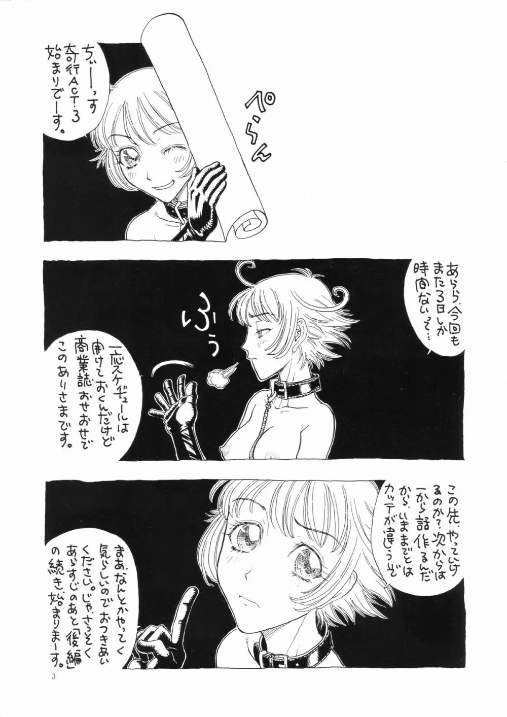 奇行 ACT.3 まいらんどはつてん・完結編 - page3