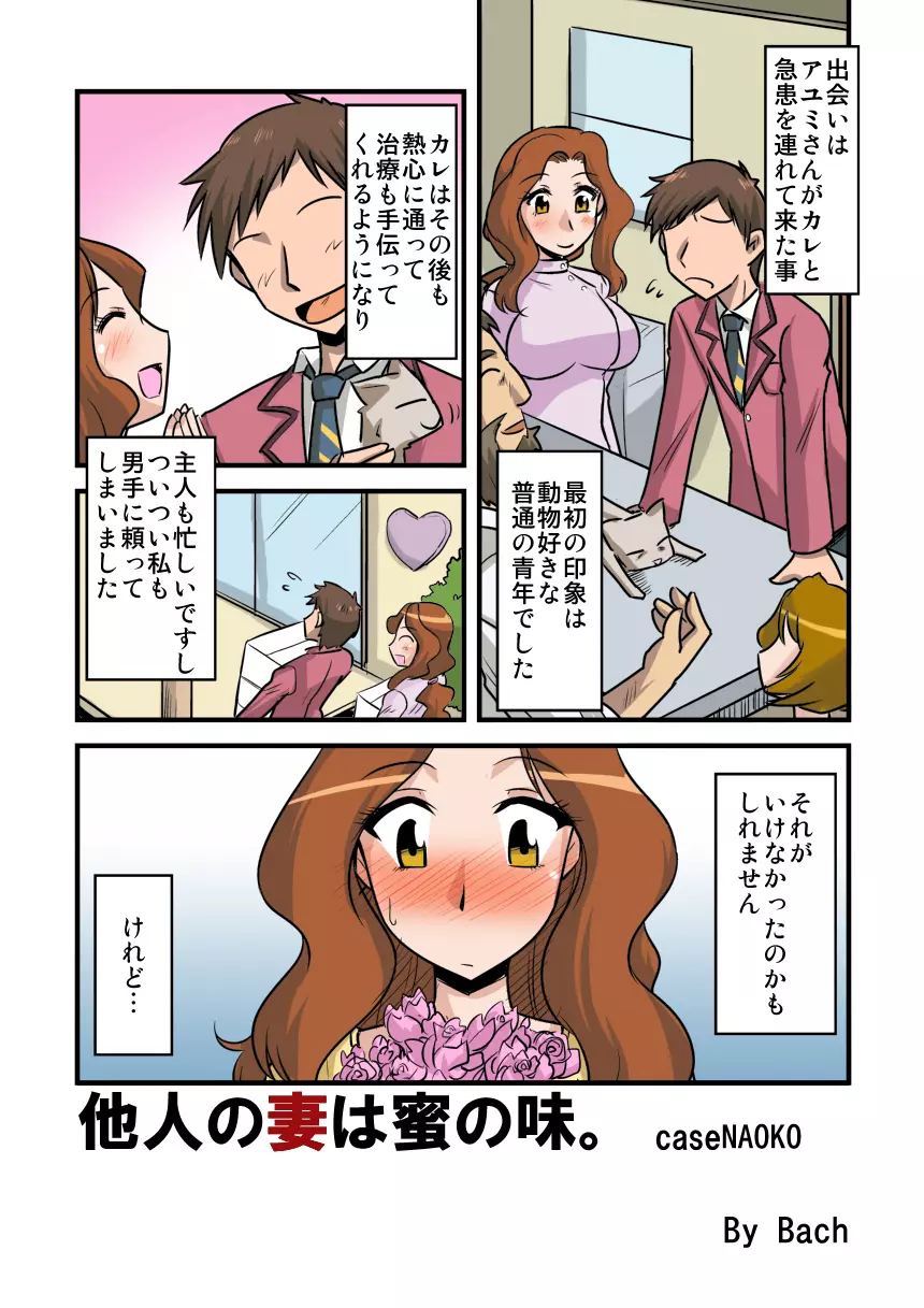 他人の妻は蜜の味3。caseNAOKO - page3