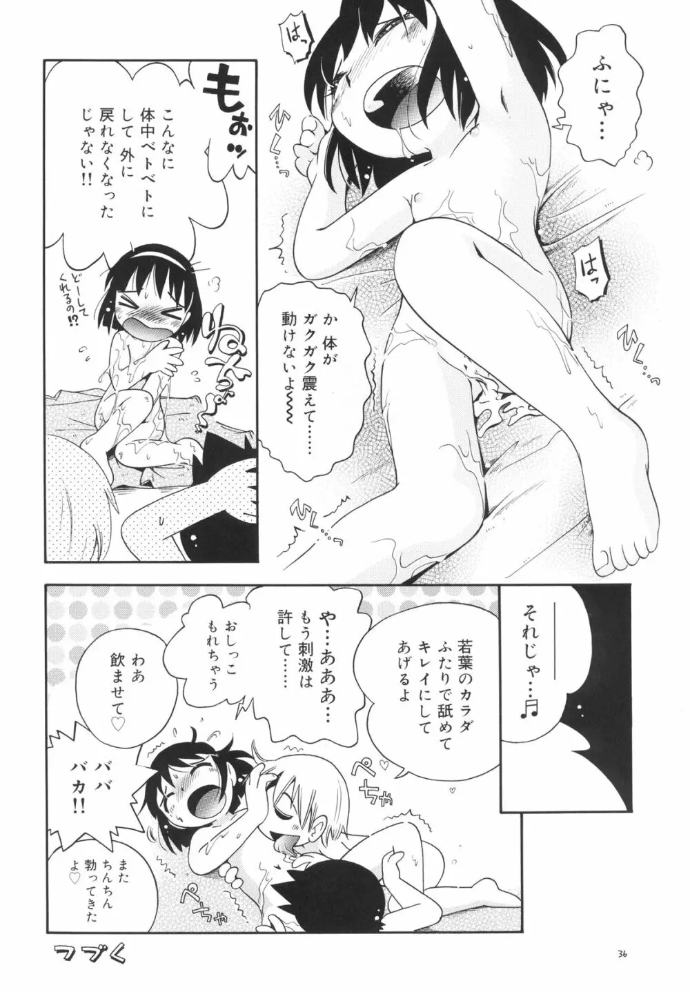 若葉といっしょ・特別編2 - page36