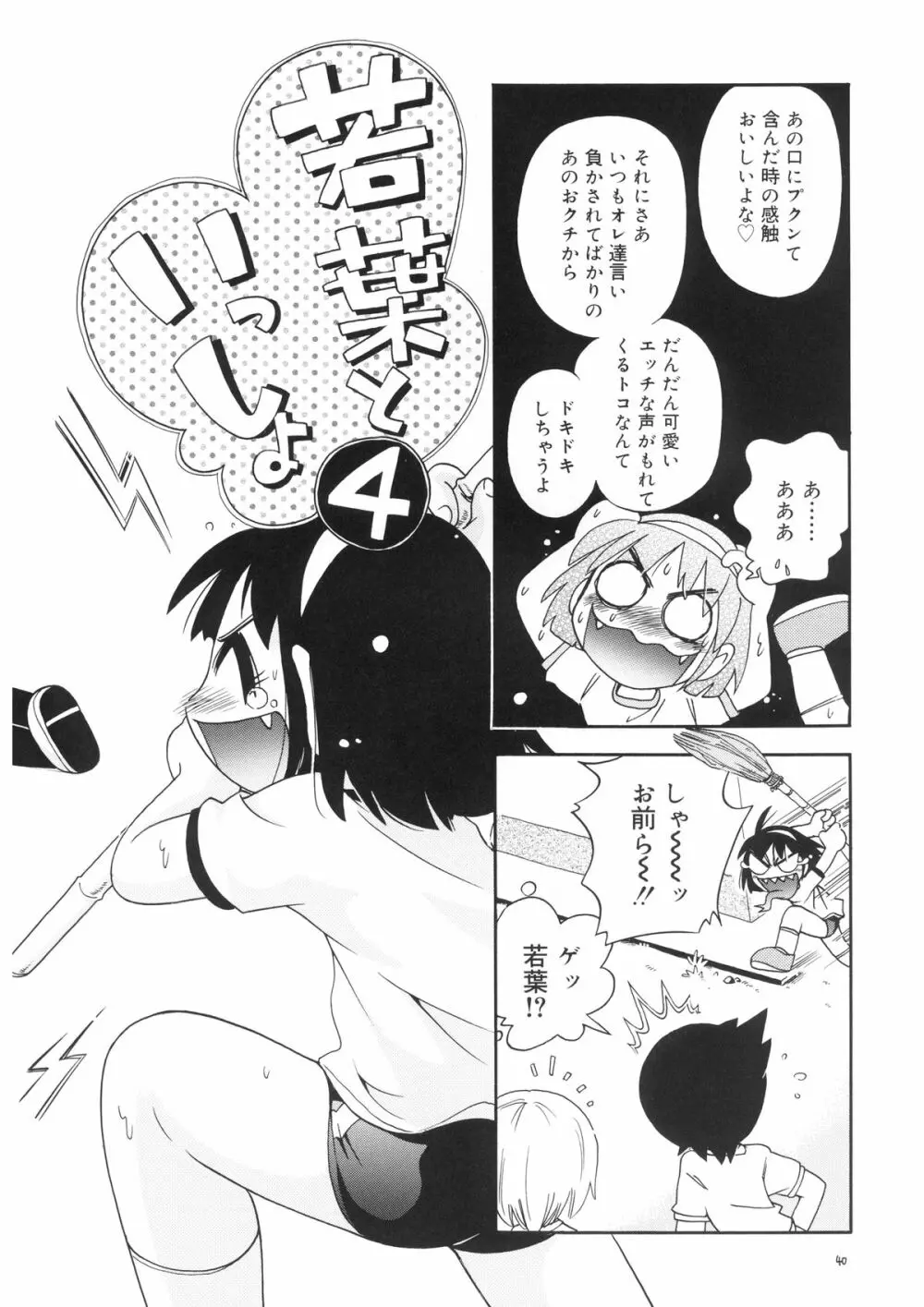 若葉といっしょ・特別編2 - page40