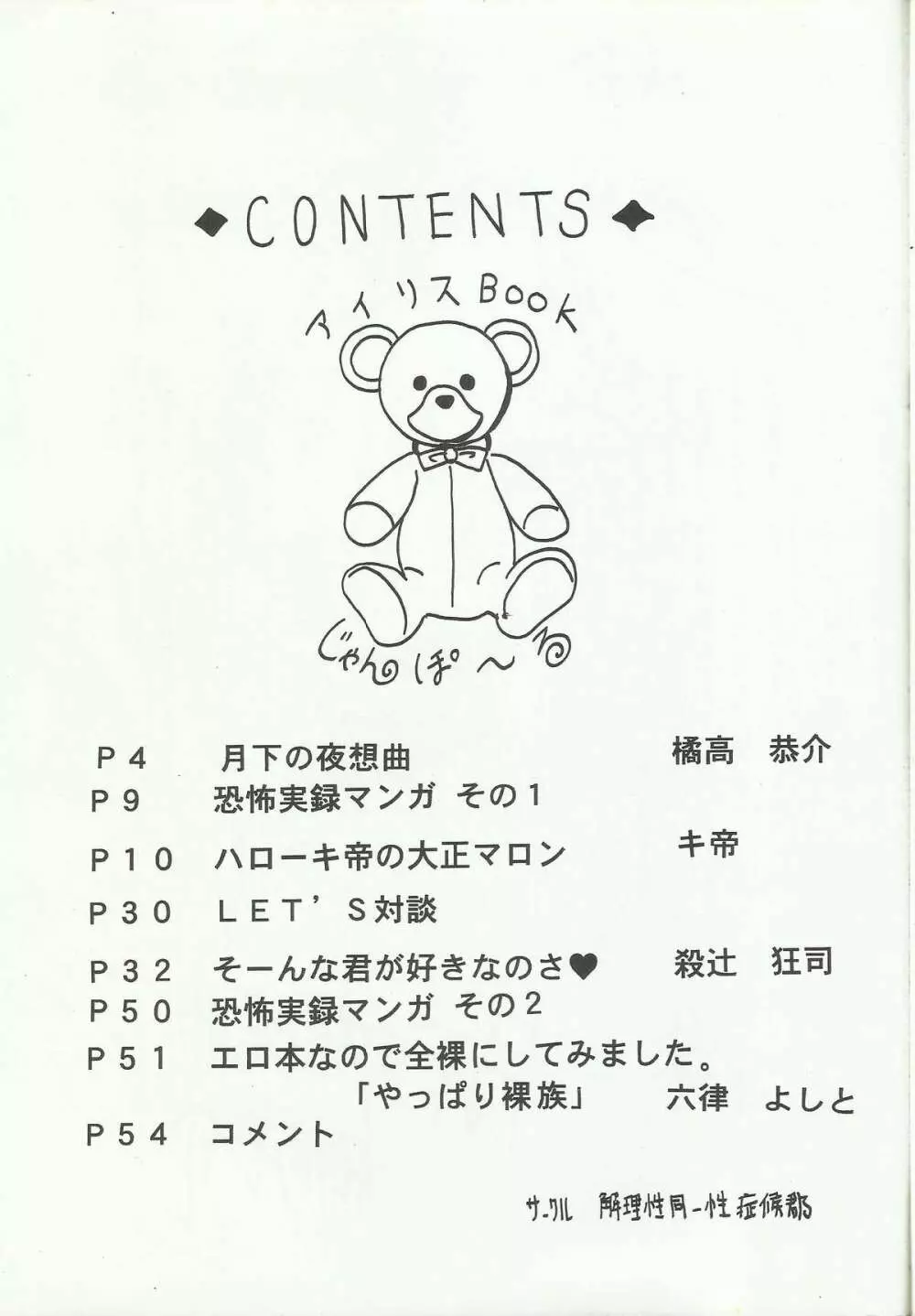 Ohgami Ichiro & iris Chateaubriand doujinshi - page2