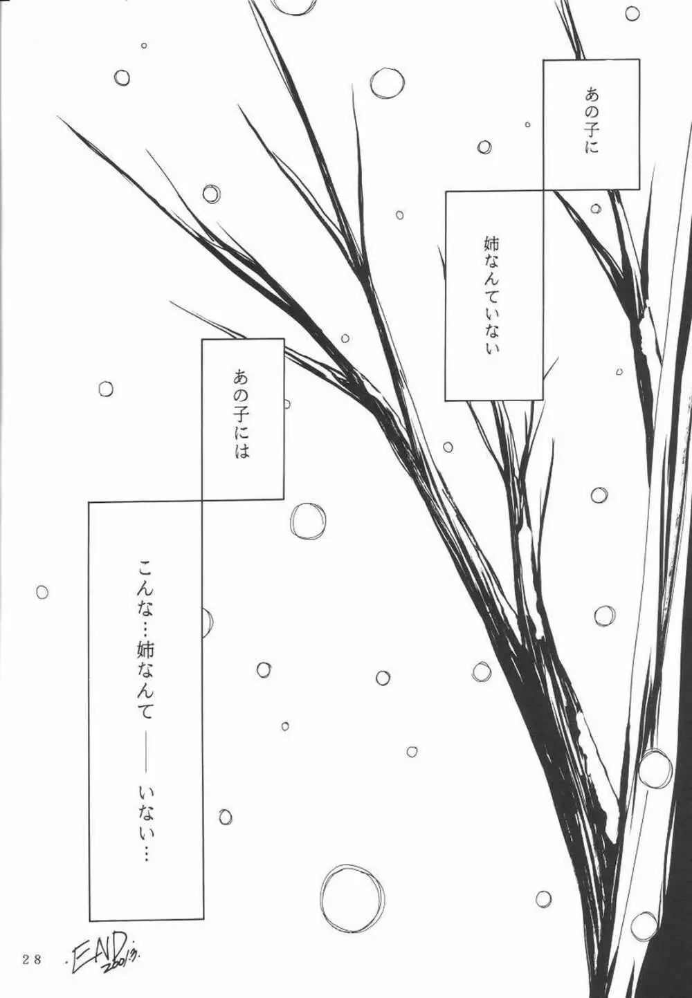 KANONIZUMU・Ⅸ かのにずむ・IX - page27