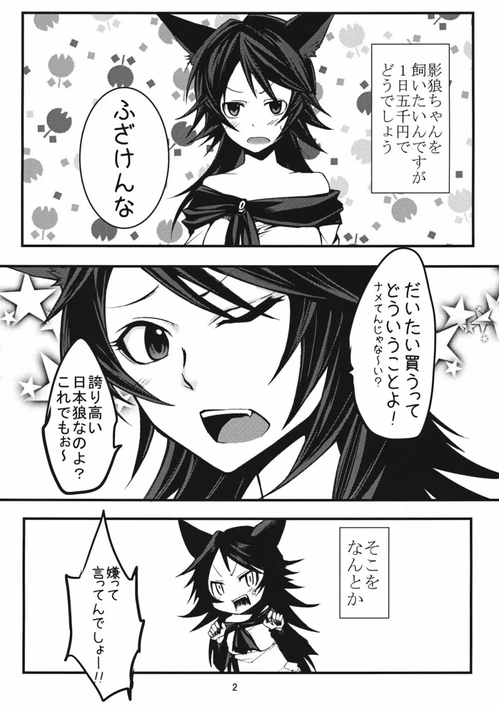 ニホンオオカミノカイカタ - page3