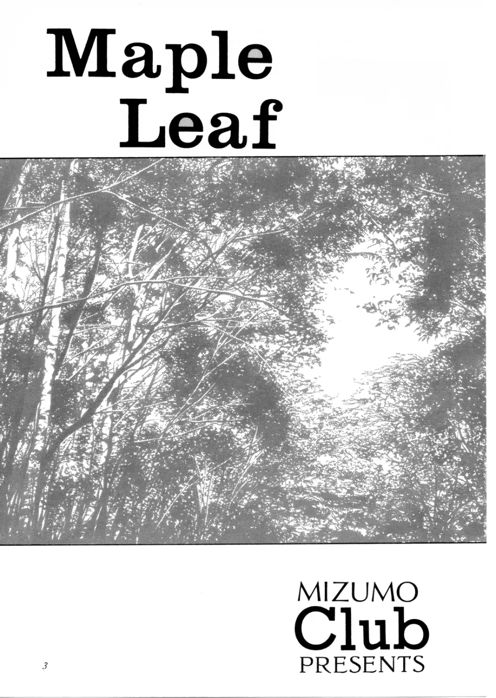Maple Leaf （ときめきメモリアル） - page2
