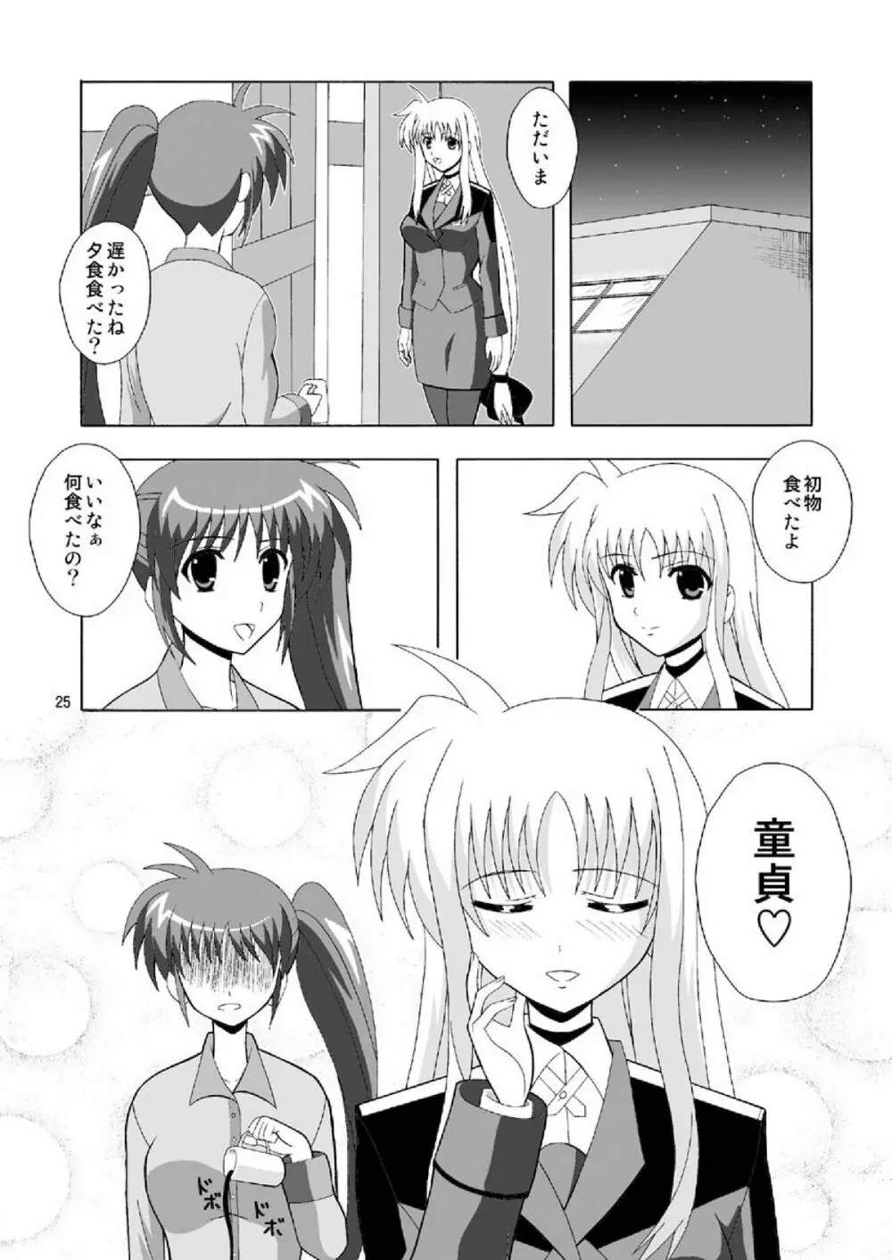 フェイトで筆おろし - page25