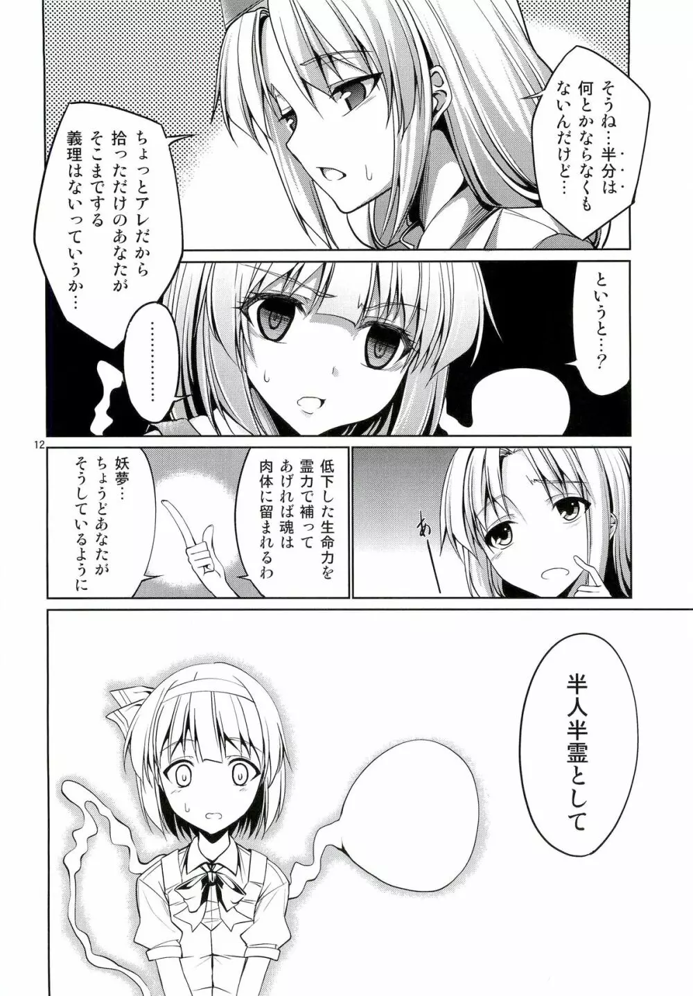 東方妖艶義～妖夢に拾ってもらう本～ - page11