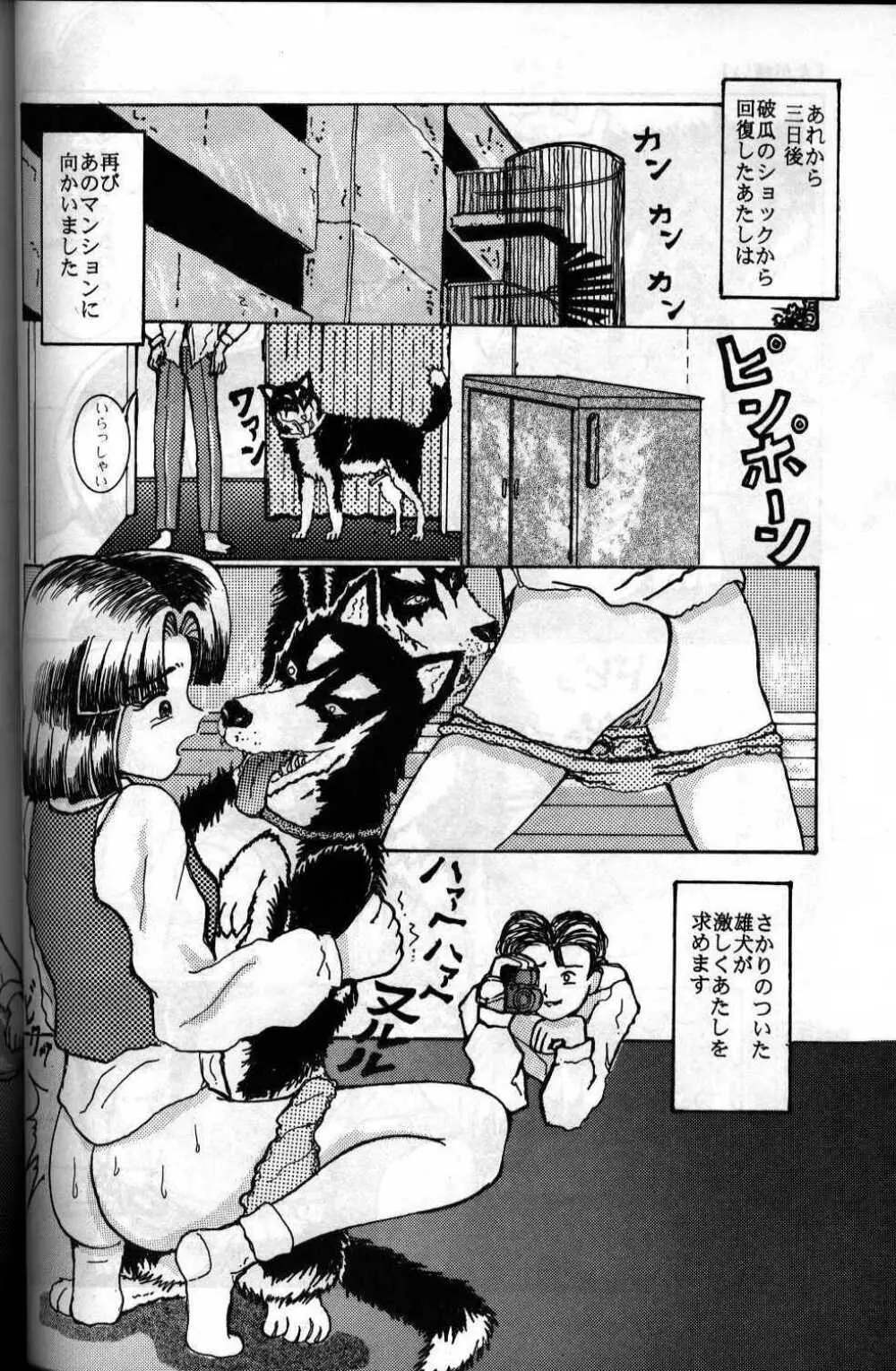 犬が嫌い - page14