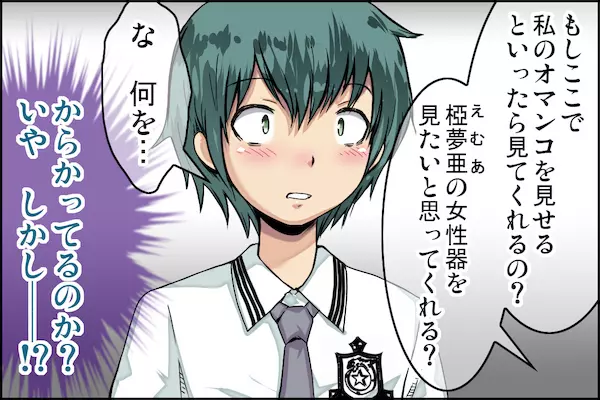 クラスで一番の優等生に告白してから僕が愛奴にされるまで。 - page39