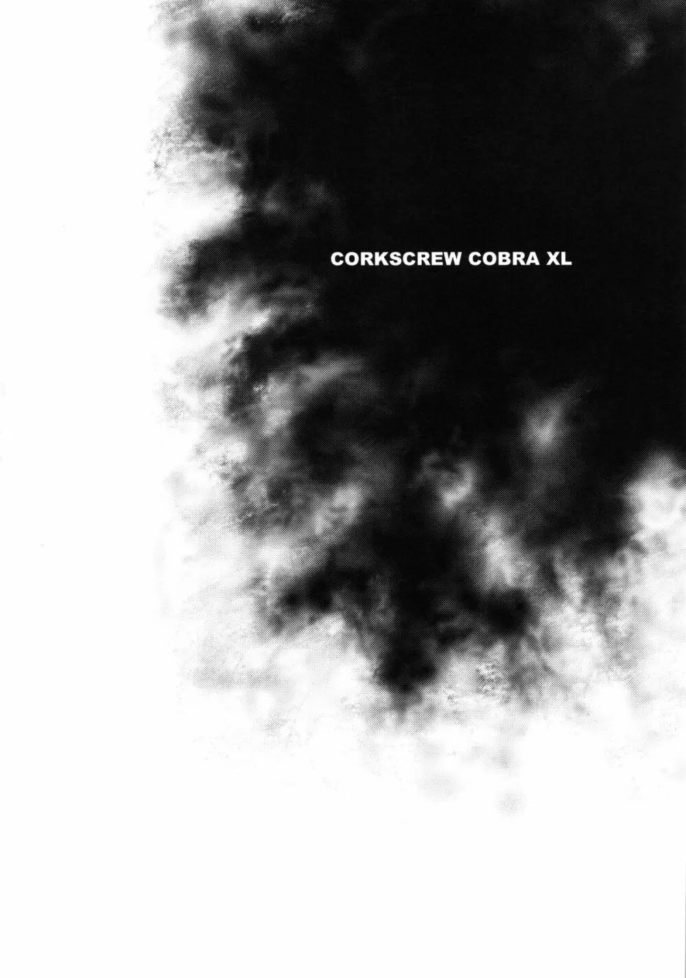 CORKSCREW COBRA XL - page4