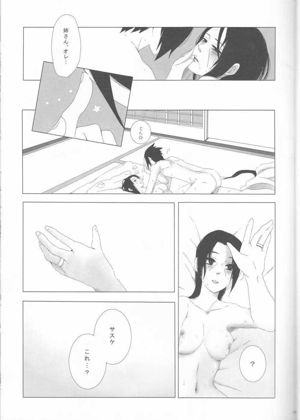 美姉と愚弟 - page11