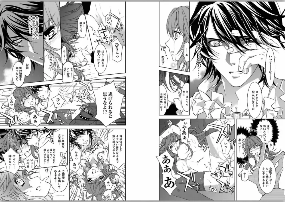 絶愛†皇帝～ドレイ姫に悪魔のキス～1 - page13