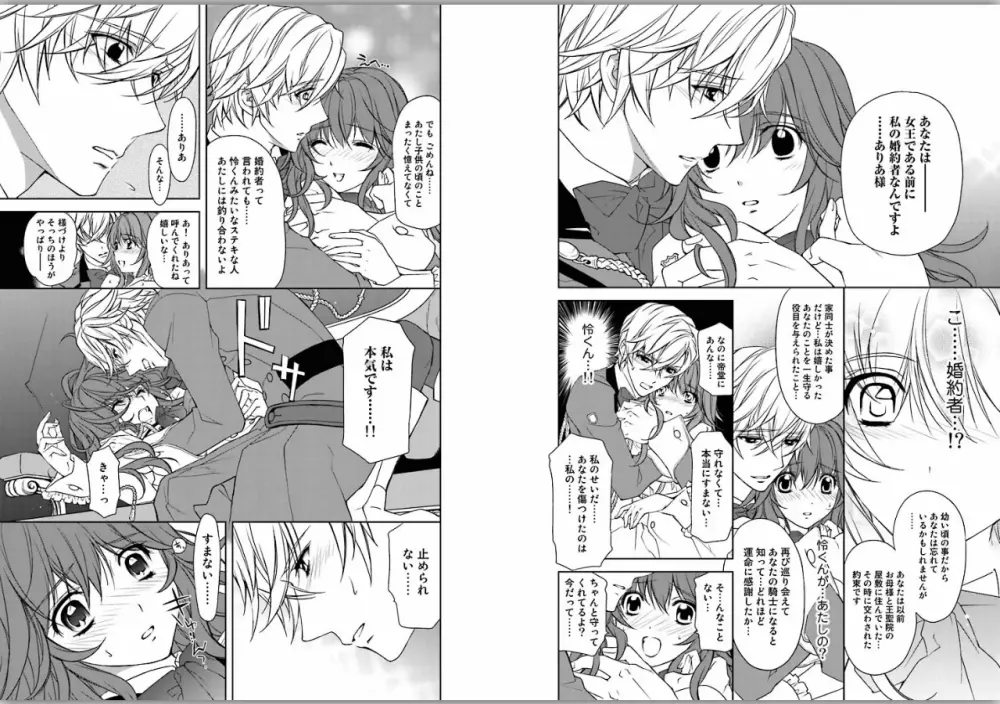 絶愛†皇帝～ドレイ姫に悪魔のキス～1 - page26