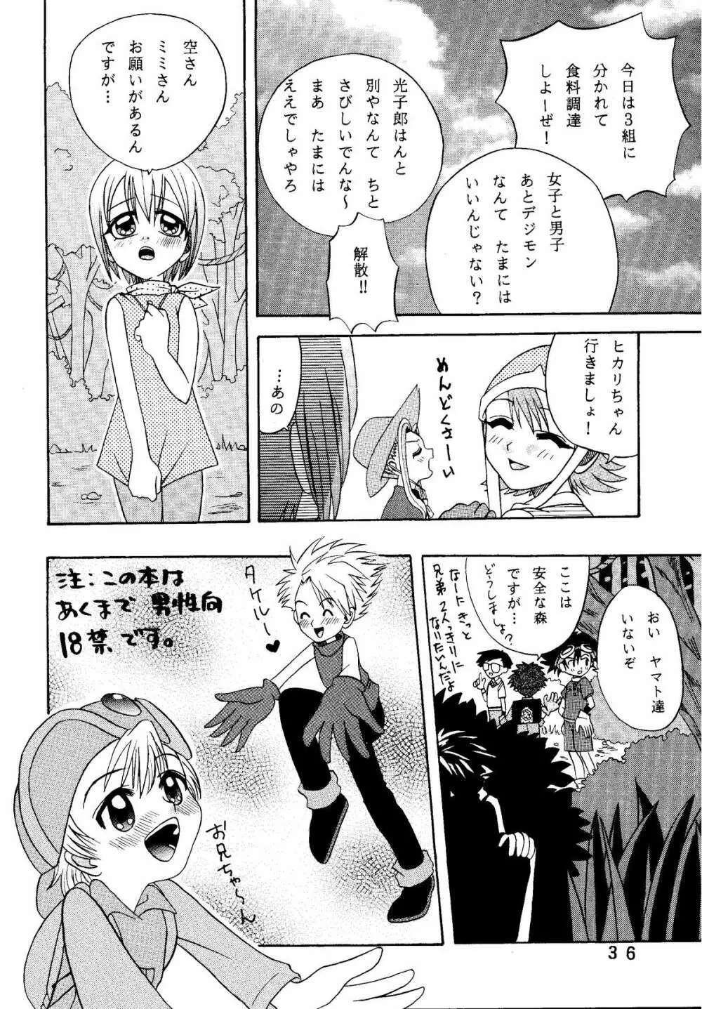 八神サン家ノ、家庭ノ事情。 - page36