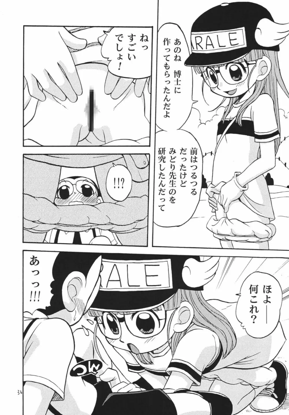 PROJECT ARALE - page35