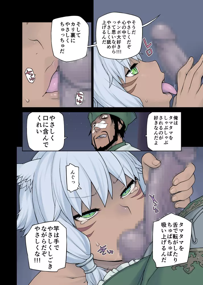 猫大好きXIV - page14