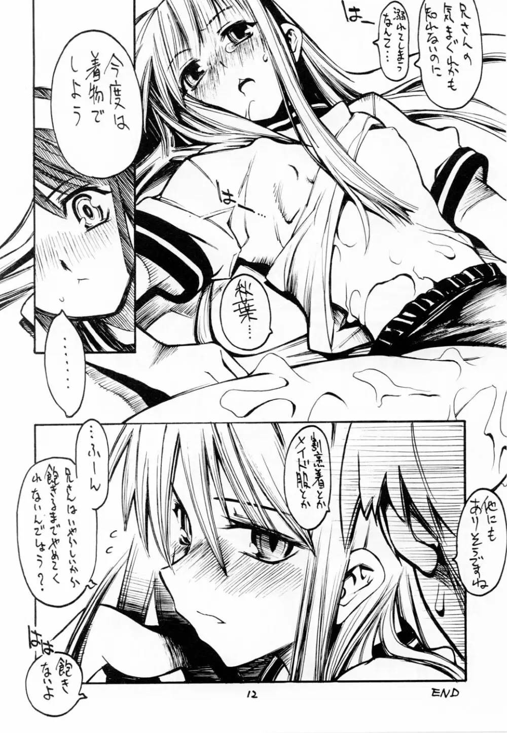 (浅上祭) [黒鬚 (東雲太郎、ポンビキ) 散華 (月姫) - page11