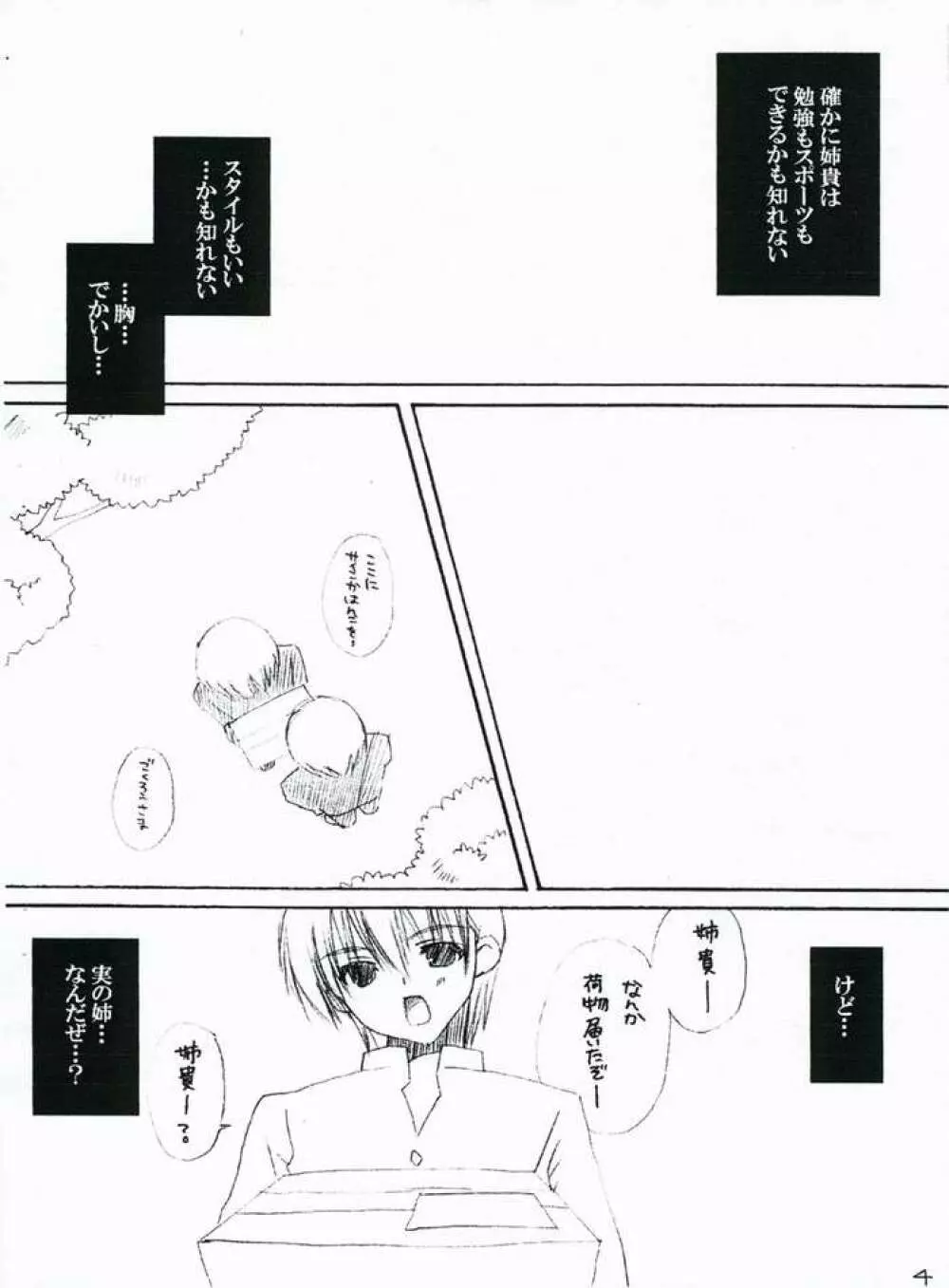 たまねえのほん。 - page3