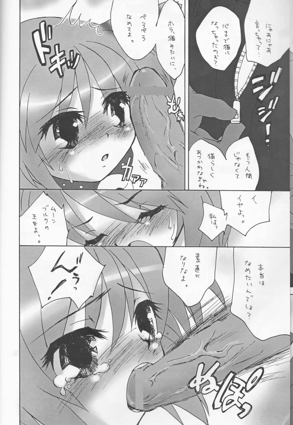 ねこむんぷれみあむ - page19