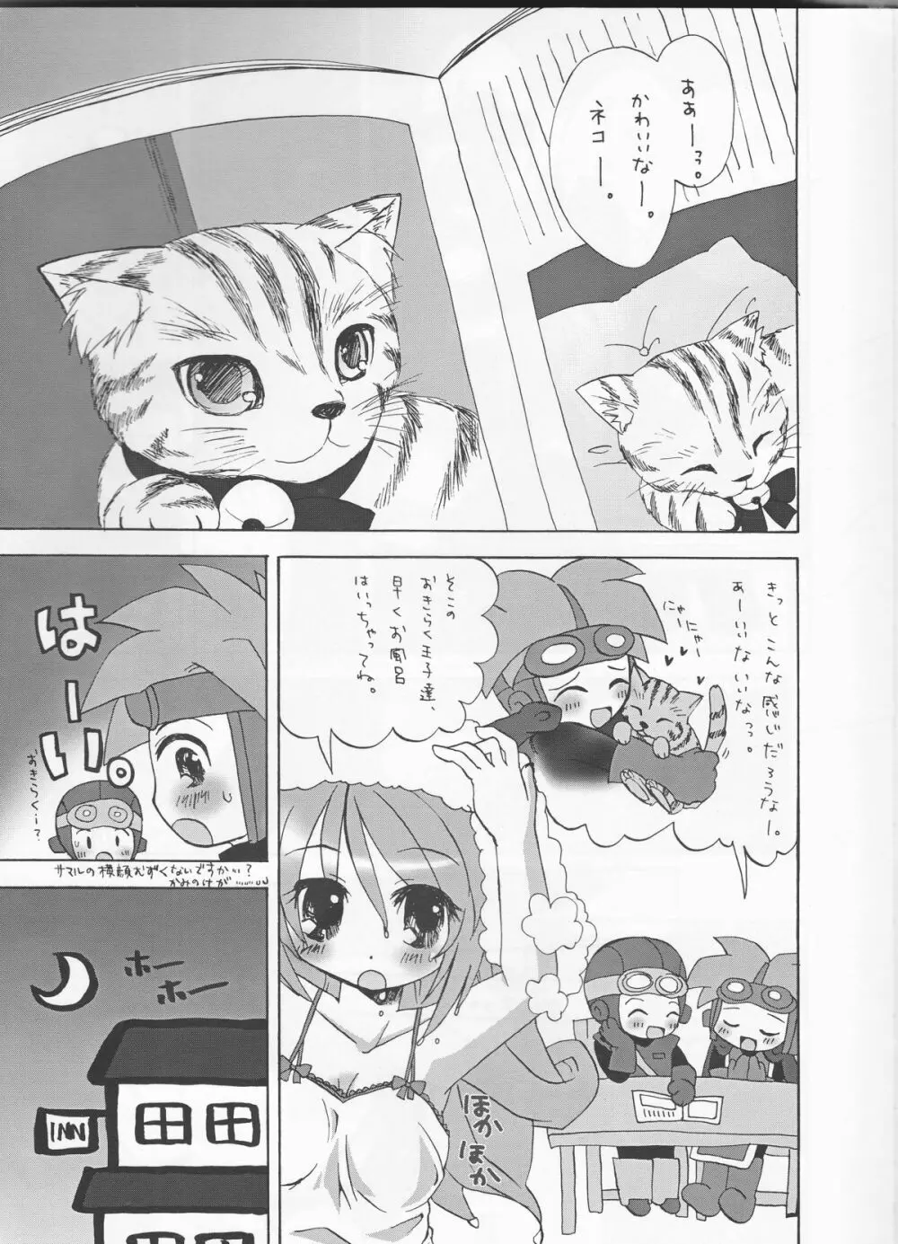 ねこむんぷれみあむ - page6