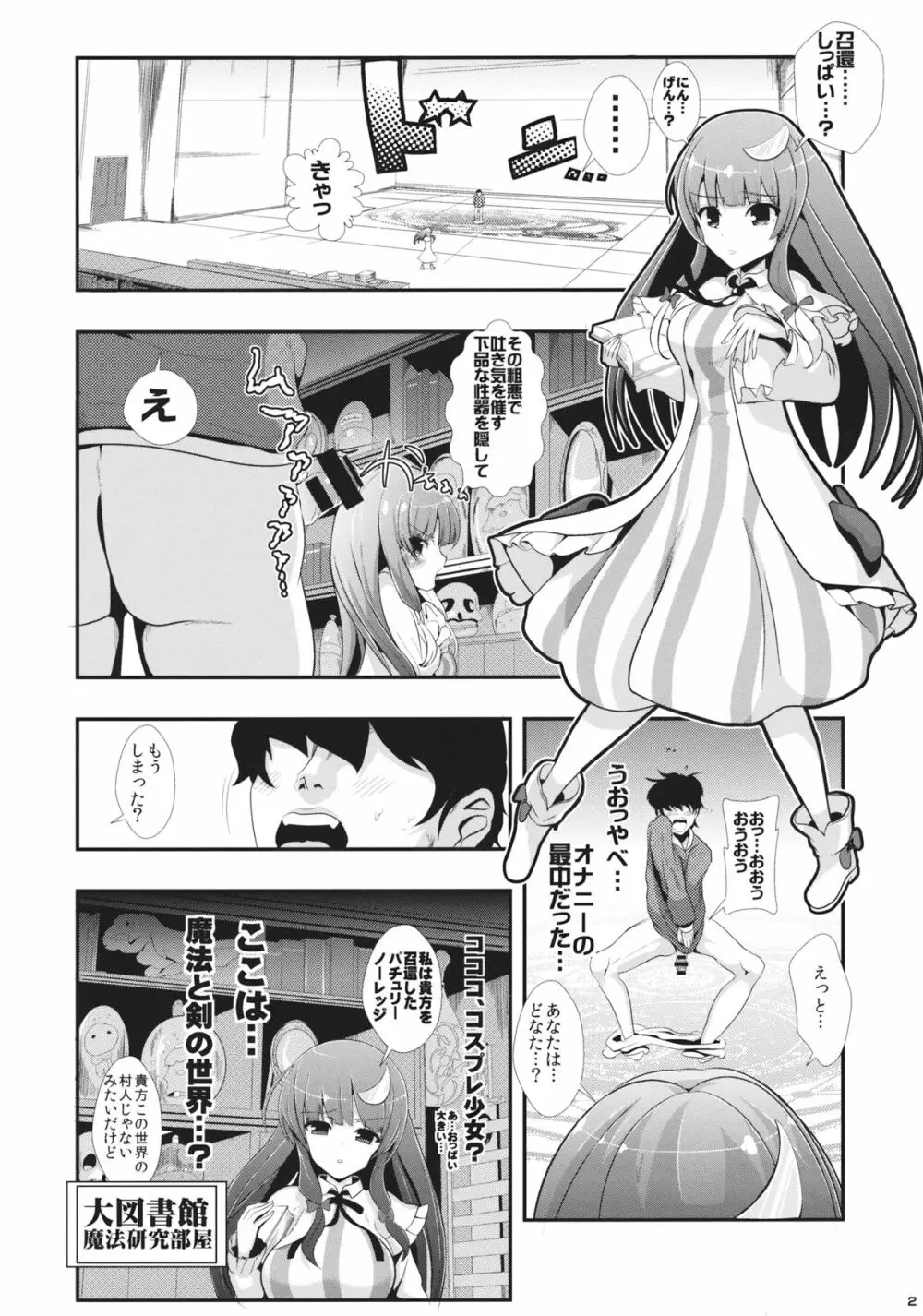 東方時姦 6 パチュリーノーレッジ - page3