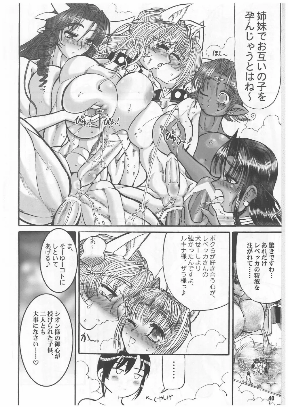 TGWOA Vol.12 - ルキナと犬耳王女 - page39