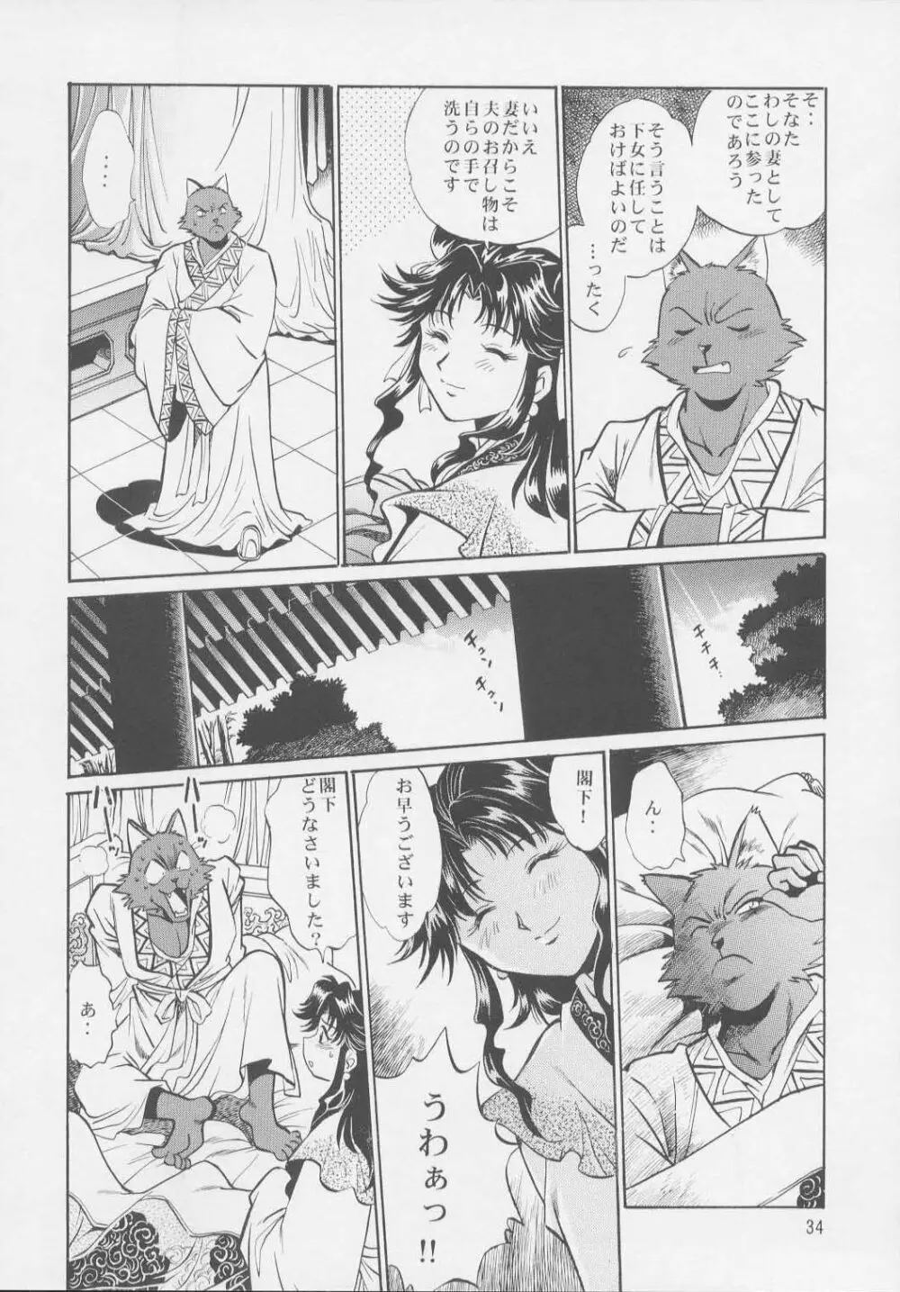 裏銀河戦国群雄伝・統一編 - page33