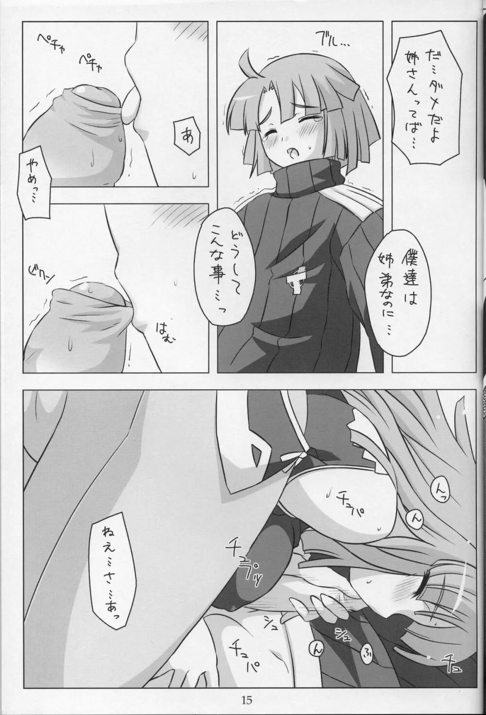 姉さんとえっち。 - page14