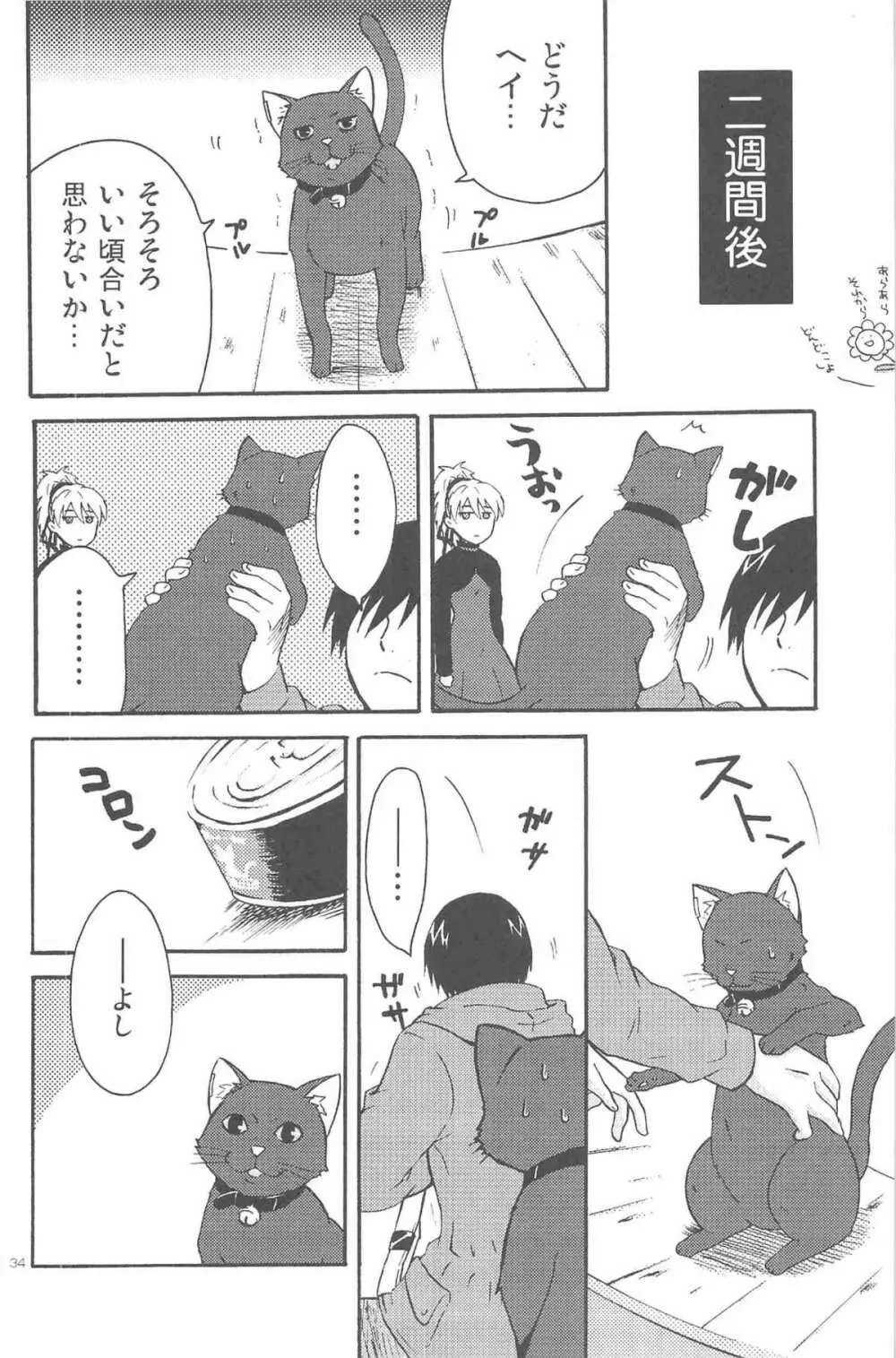 ほしあつめ 表&裏 - page73