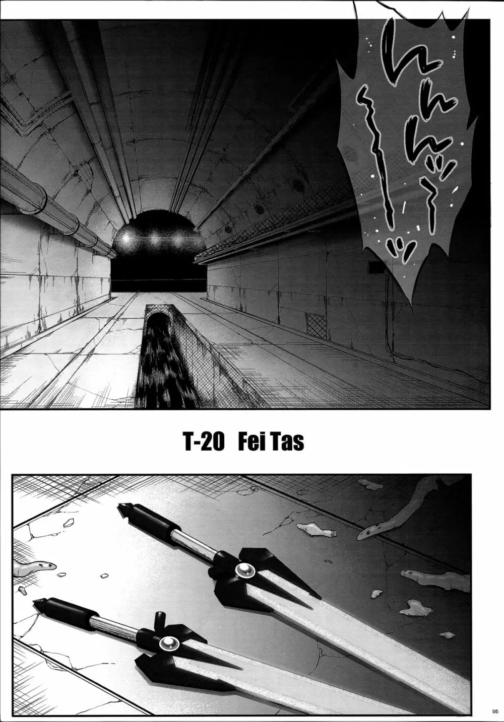 T-20 Fei Tas - page4