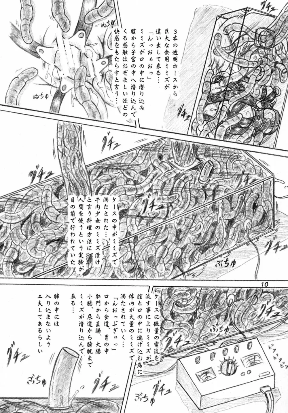 生物倶楽部、おまけコピー本2冊付 - page9