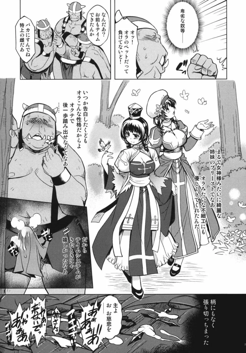 姫騎士テイム2 - page29