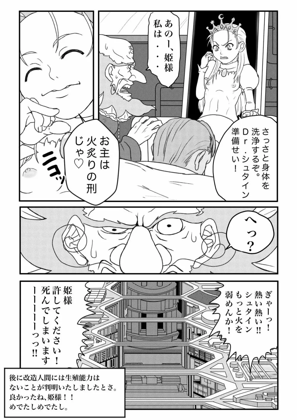 姫様は肉便器? - page25