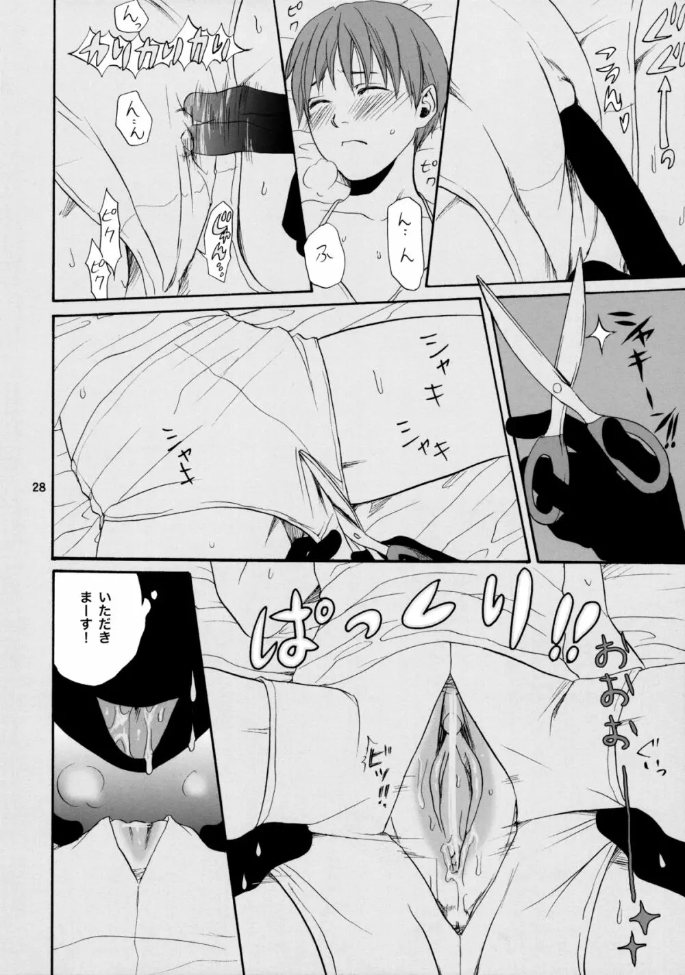 ほてねこ - page27