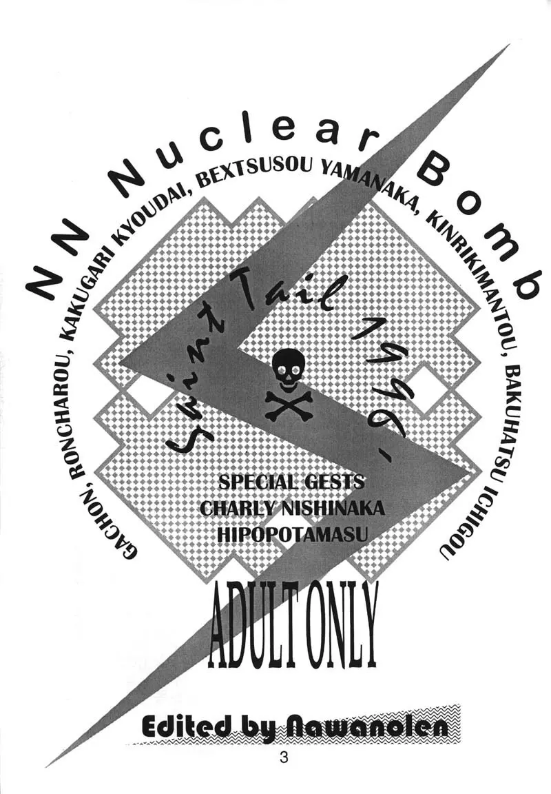 NN 核爆弾 - page2