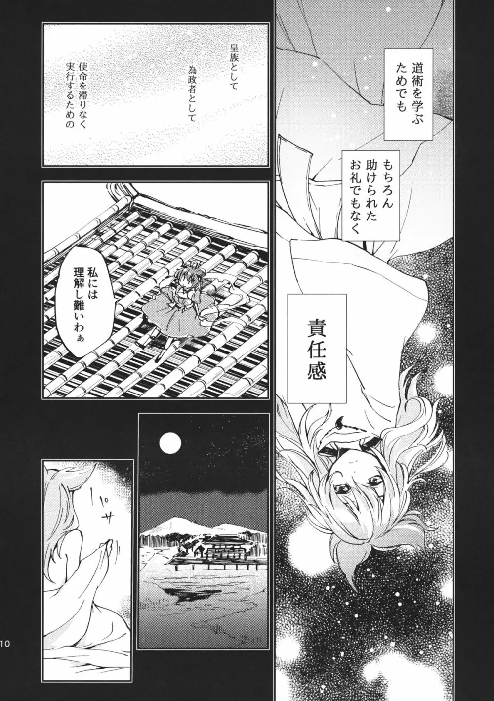 とある邪仙の回顧録 - page11