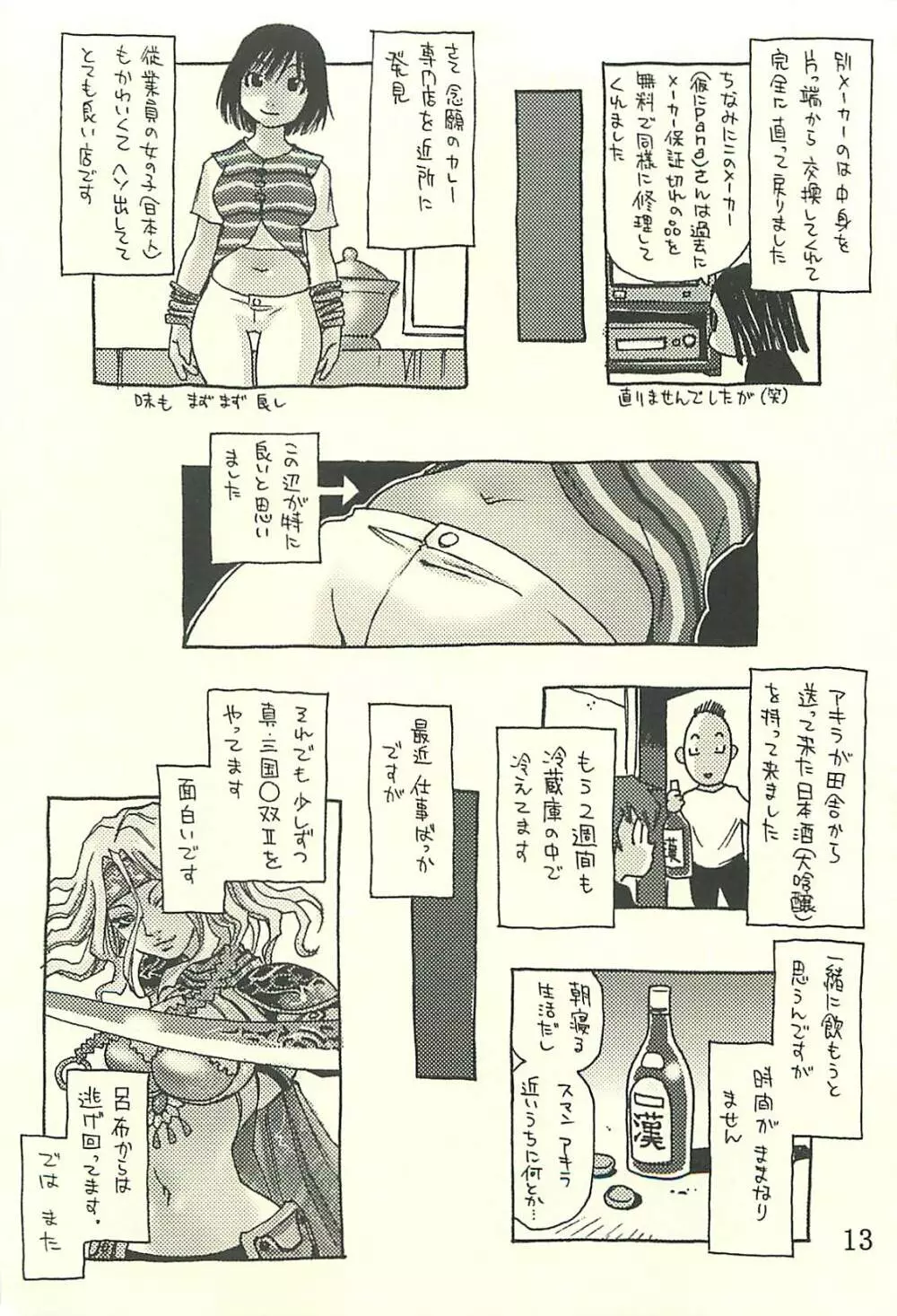 脳髄瓦版 非日常的な日常II - page12