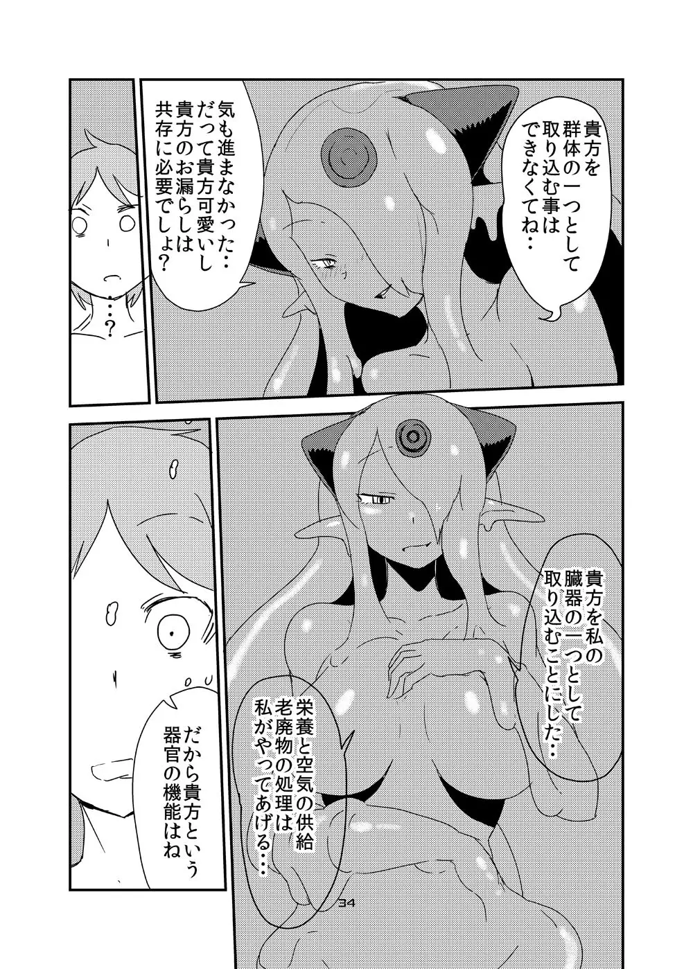 もんむす・くえすと!ビヨンド・ジ・エンド6 - page33