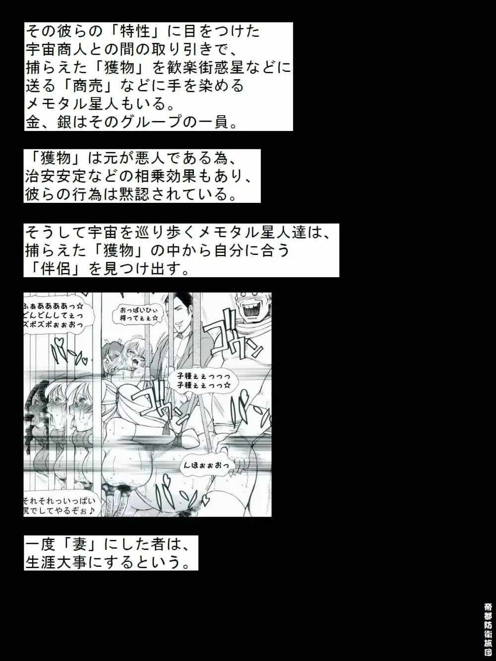 [帝都防衛旅団] RTKBOOK 9-3 「M○Xいぢり(3) 『PANPAN-MAN』」 - page29