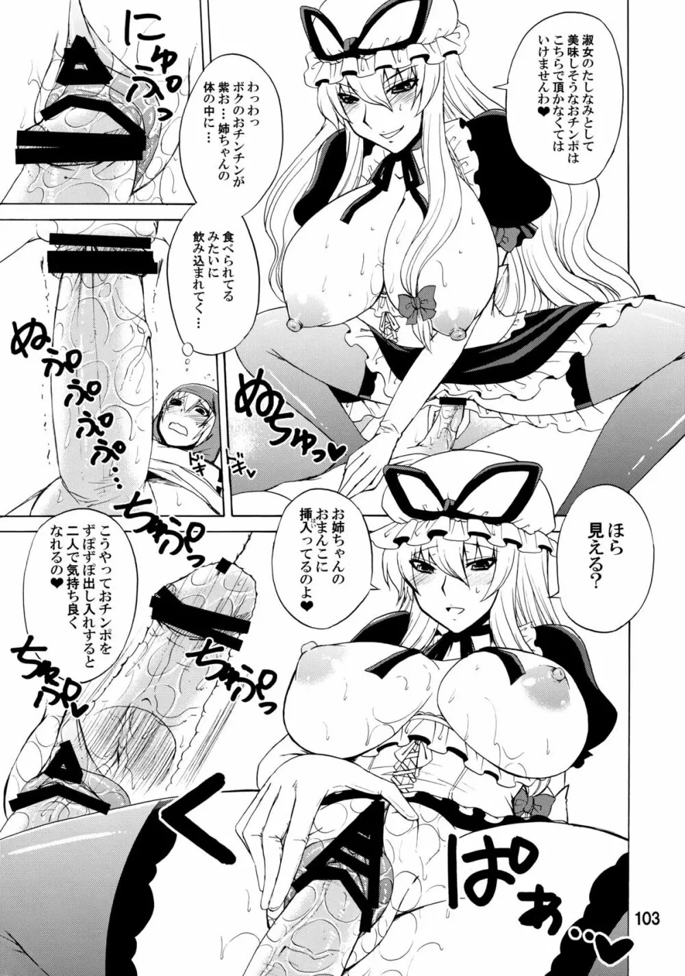 紫奥義・淫乳結界 -ハニーバンプ・東方総集編- - page102