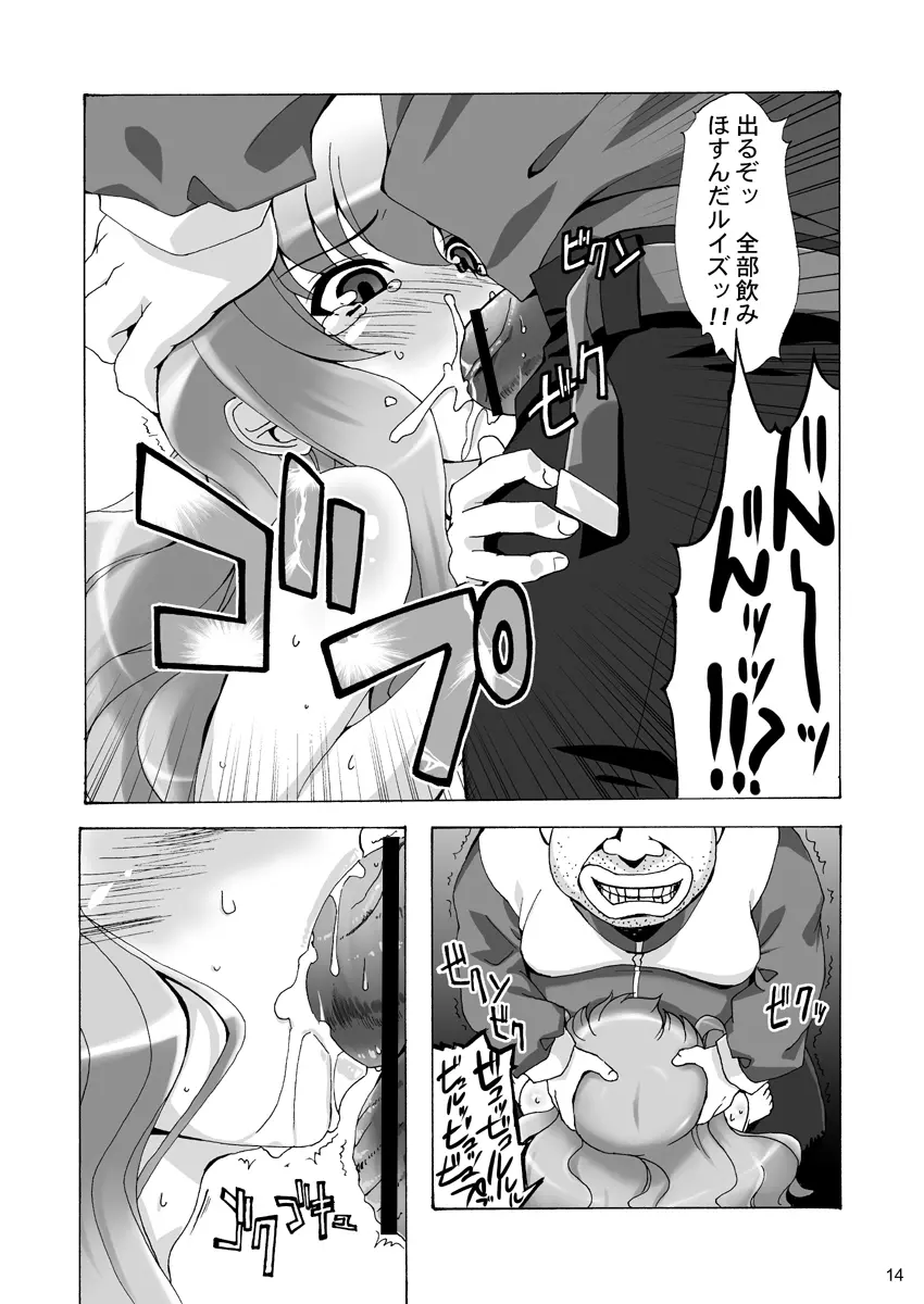 ボクはルイズとSEXする!!+ - page14